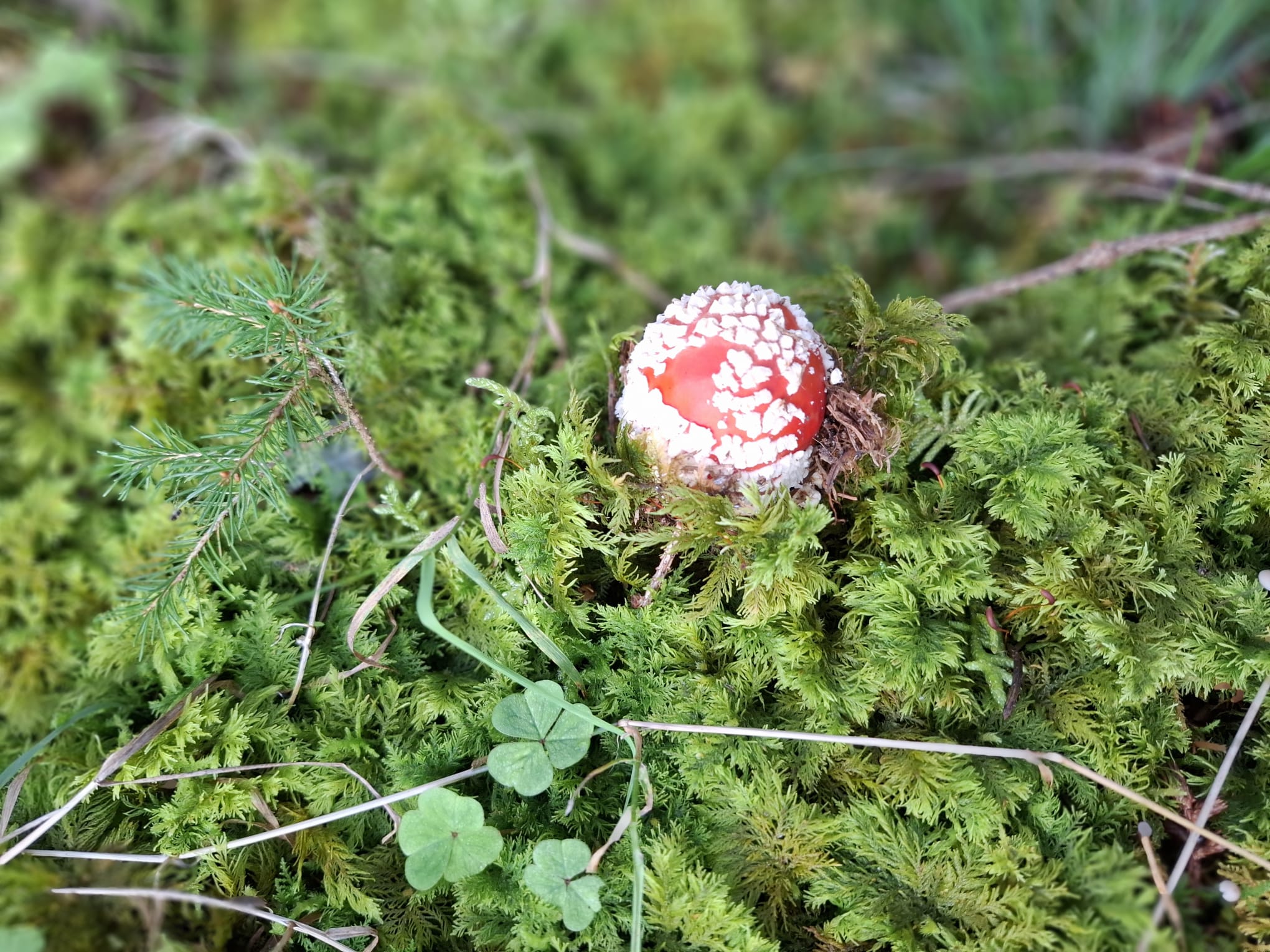 Erwachsenenkurs Hochformat