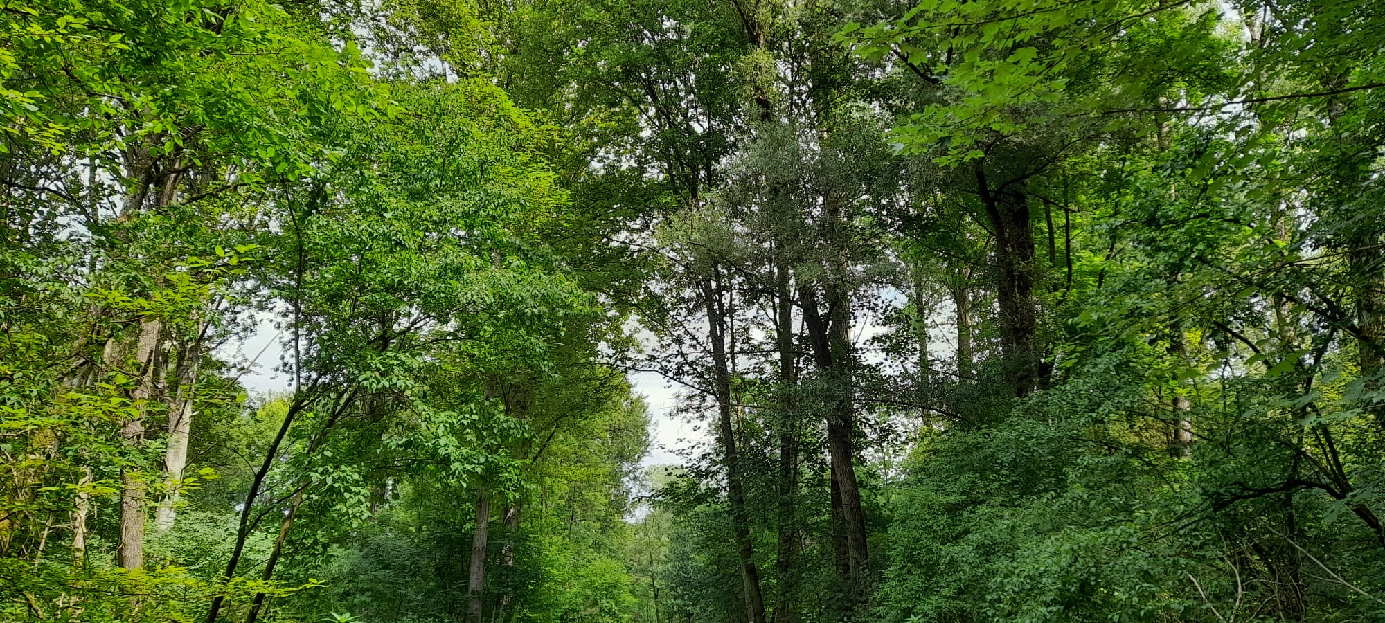 Erwachsenenkurs Hochformat